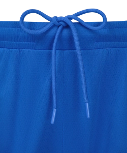 Шорты баскетбольные JÖGEL DIVISION PerFormDRY Shorts Z2, синий