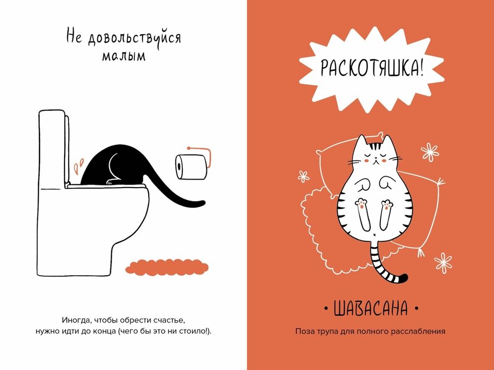 Книга Кот всему голова. Кошачьи мудрости для жизни без стресса