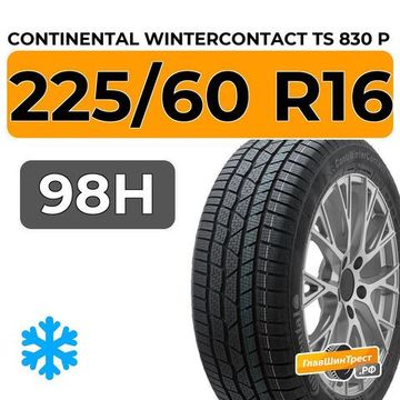 Continental WinterContact TS 830 P 225/60 R16 98H