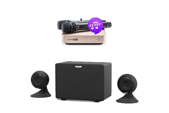 Evolution Evobox Plus Gold - комплект караоке + стереосистема EvoSound Sphere + годовая подписка на обновления
