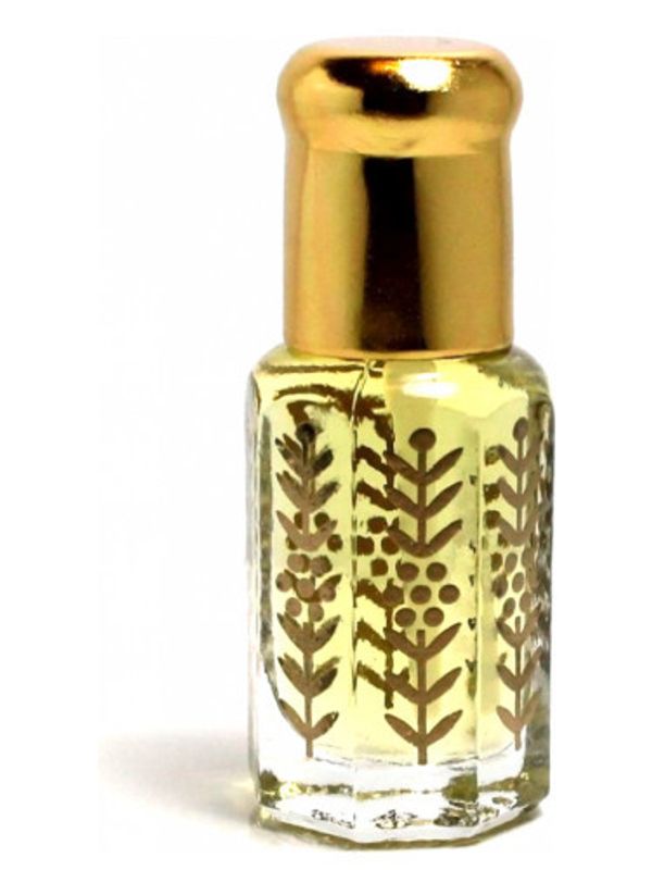 Ensar Oud Monsieur Oud