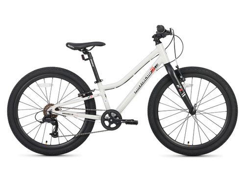 Велосипед 24'' Maxiscoo 3BIKE L Серый (2025)