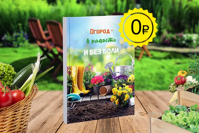 Огородный дайджест 2020