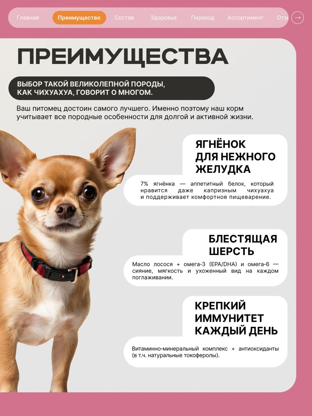 Корм сухой для взрослых собак породы Чихуахуа, с ягненком, 800 гр, QUATTRO