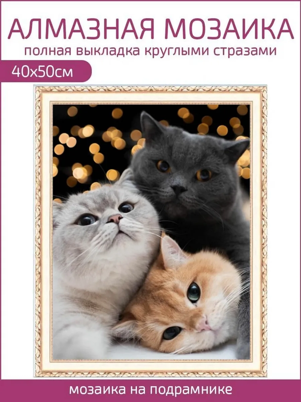 Алмазная мозаика коты на подрамнике 40х50
