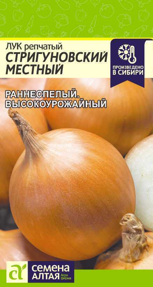 Лук репчатый Стригуновский местный