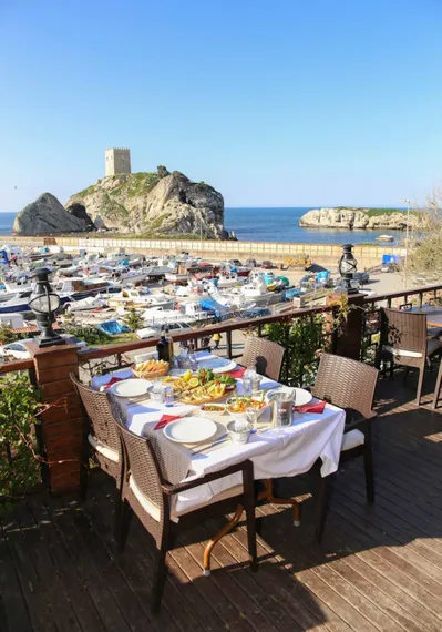Кресло пластиковое плетеное Ibiza коричневое