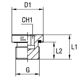 Заглушка VE (Ш) BSP 1.1/2