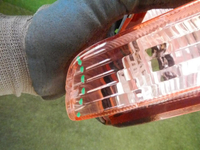 DSCN5176.JPG