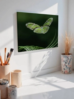Картина на стену 40 X 50 Бабочка