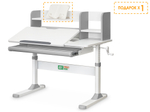 Детский стол Ergokids TH-330 Grey (арт. TH-330 W/G)