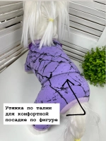 Трикотажный комбинезон для собак и кошек
