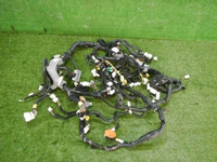 DSCN7158.jpg