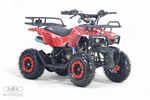 Квадроцикл RIVERTOYS TIGER