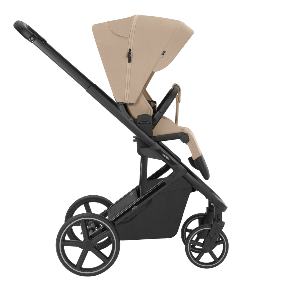 Коляска 2 в 1 Carrello Alfa CRL-6522