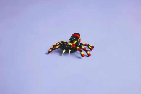 Конструктор LEGO Creator 31159 Дикие животные: Удивительный паук, 3в1