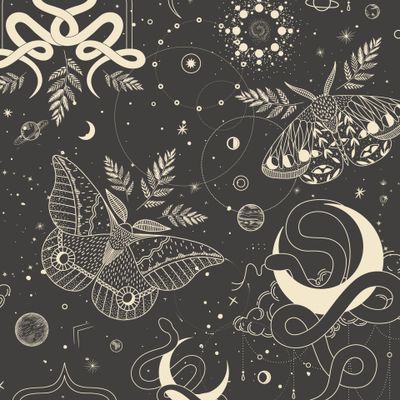 змеи и мотыльки. Фазы луны и астрология