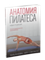 Анатомия пилатеса