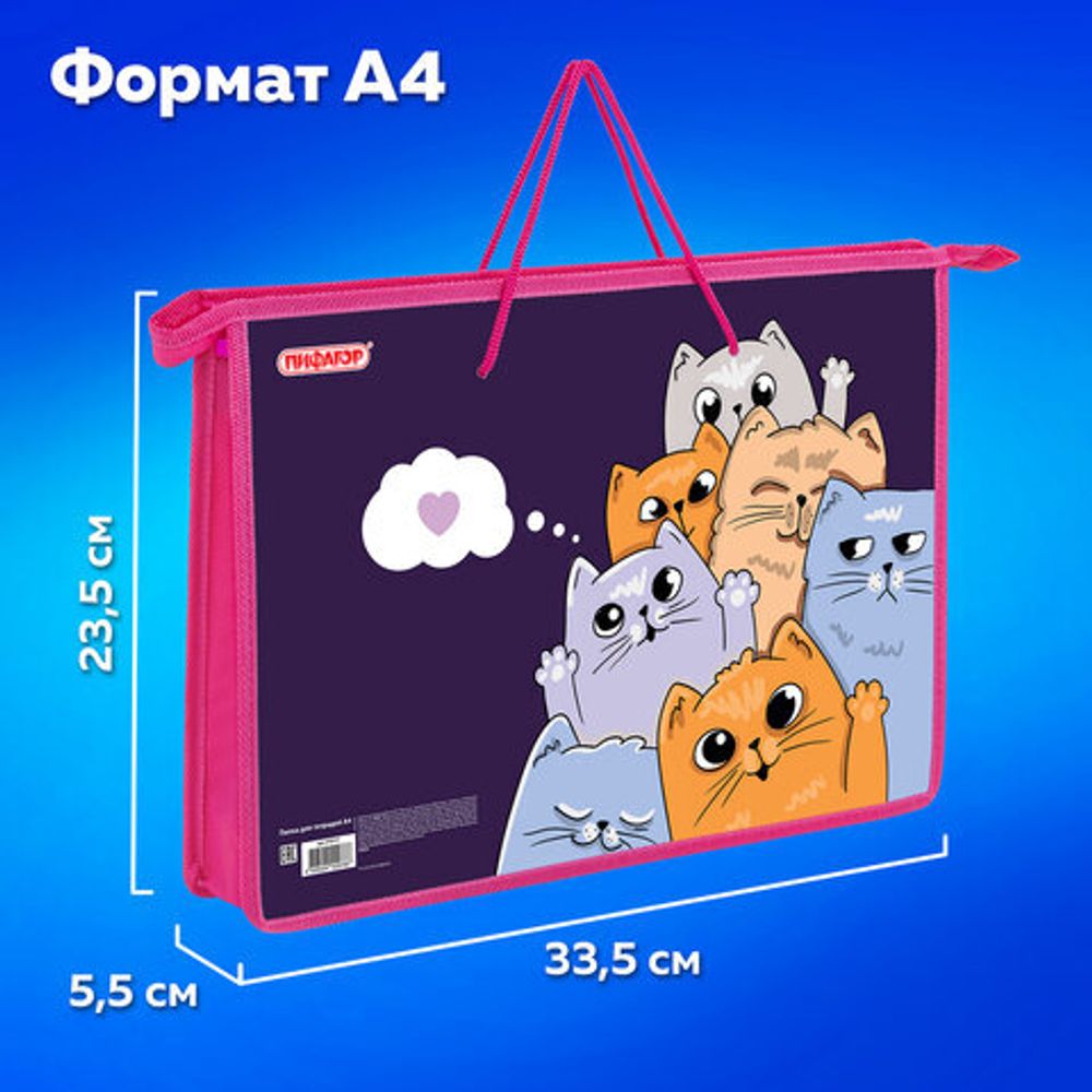 Папка на молнии с ручками ПИФАГОР А4, 1 отделение, пластик, ручки-шнурок, "Cats greetings", 272111