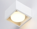 Накладной светильник Ambrella Light TN TN70825