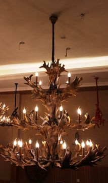 ROLL&HILL Superordinate Antler Chandelier - 4