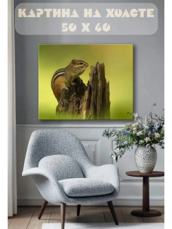 Картина на стену 40 X 50 Белка