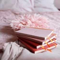 Записная книжка Rhodiarama в мягкой обложке A5 в точку 90 гр Burgundi бордовая (117436C) 3