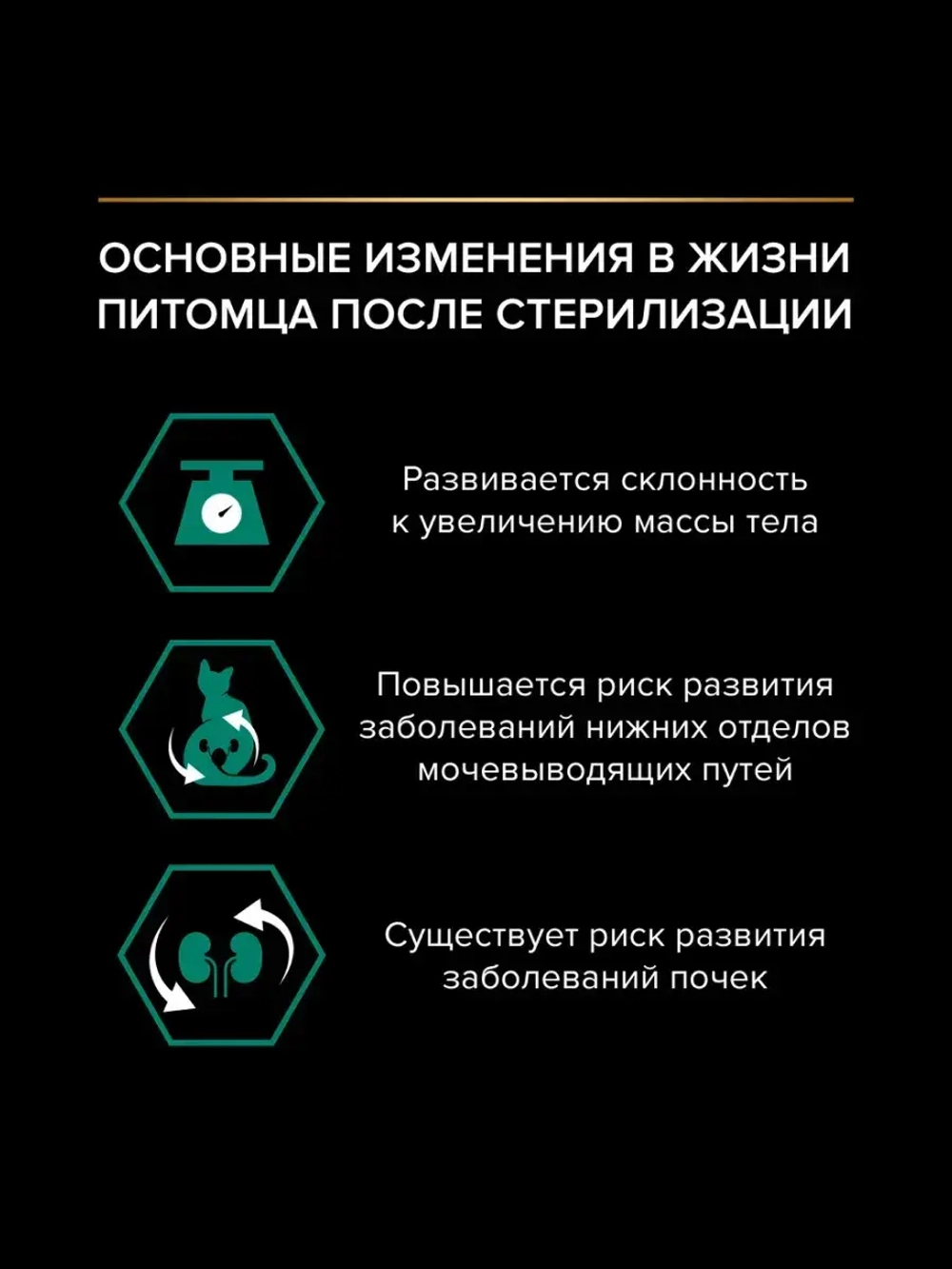 Pro Plan Sterilised (Про план стерил) влажный корм для стерилизованных кошек, Индейка, 85г 26шт.