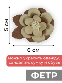 Стильное Украшение для обуви
