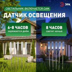 Светильник уличный ЭРА ERASF23-13 Камыши на солнечной батарее садовый высота 60 см 5 шт 5 LED | Садовые декоративные светильники