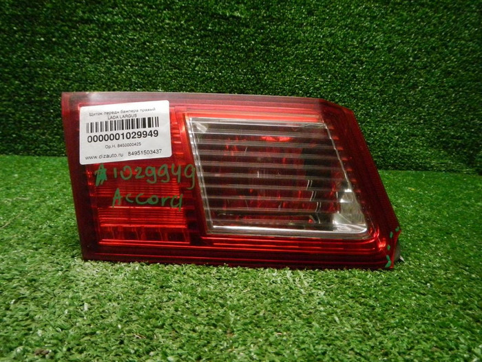 DSCN7956.JPG