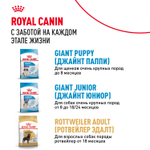 Royal Canin GIANT ADULT питание д/взрослых собак очень крупных размеров 15кг