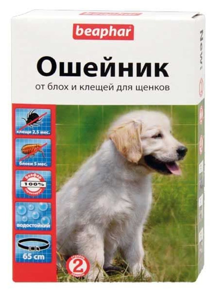 Beaphar "Ungezieferband" ошейник для щенков от блох (5 мес.) и клещей (2,5 мес.) 65см (диазинон) Beaphar "Ungezieferband" ошейник для щенков от блох (5 мес.) и клещей (2,5 мес.) 65см (диазинон)