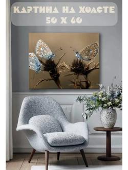 Картина на стену 40 X 50 Бабочки