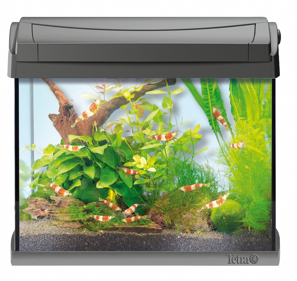 Аквариум Tetra AquaArt LED Shrimp 20л для креветок