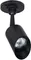 Прожектор уличный Elsie A1022AL-1BK Arte Lamp