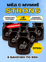 Мёд натуральный с мумие STRONG набор (6 банок по 950 г), 5700 г