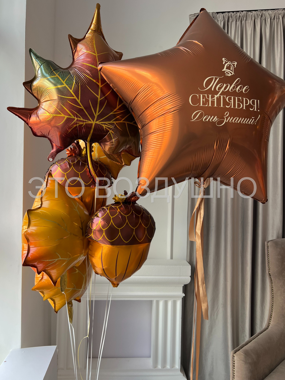 Набор шаров «Лесная пора: День знаний!», дизайн №4