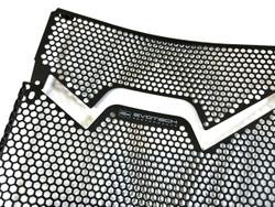 Evotech Performance Защитная сетка радиатора BMW F 900 R PRN015027