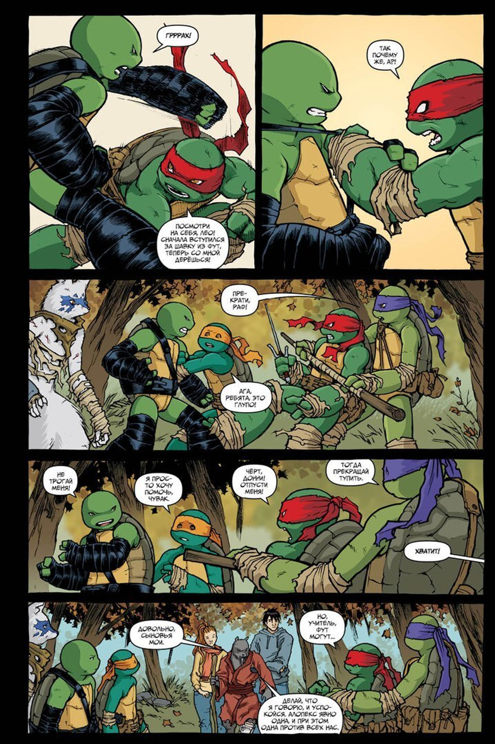 Подростки Мутанты Ниндзя Черепашки. TMNT. Том 7. Нортгемптон