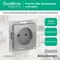 Розетка без заземления без шторок Systeme Electric AtlasDesign Алюминий ATN000341