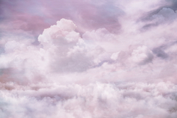 EUPHORIA2019 12