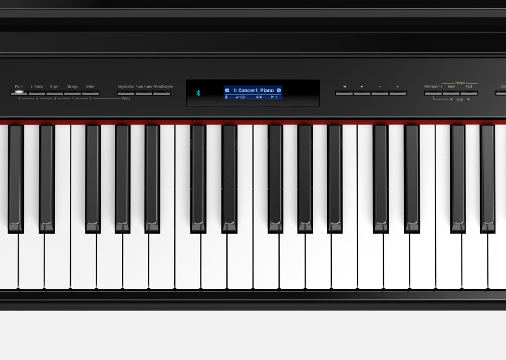 Roland GP 609-PE