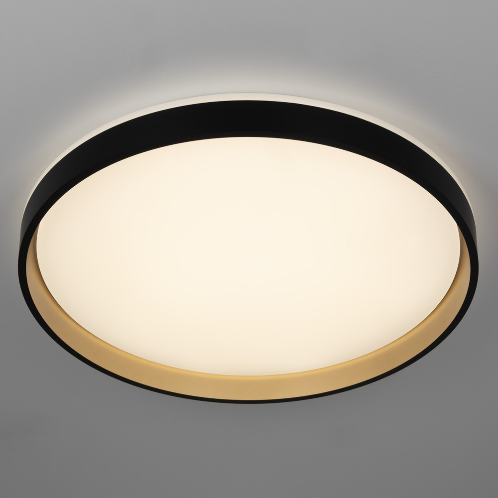 Потолочный светодиодный светильник Citilux ENZO CL753511G