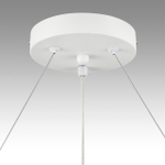 Подвесная люстра Lumion LUAZANA 8254/9