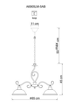 Люстра подвесная Arte Lamp Safari A6905LM-5AB