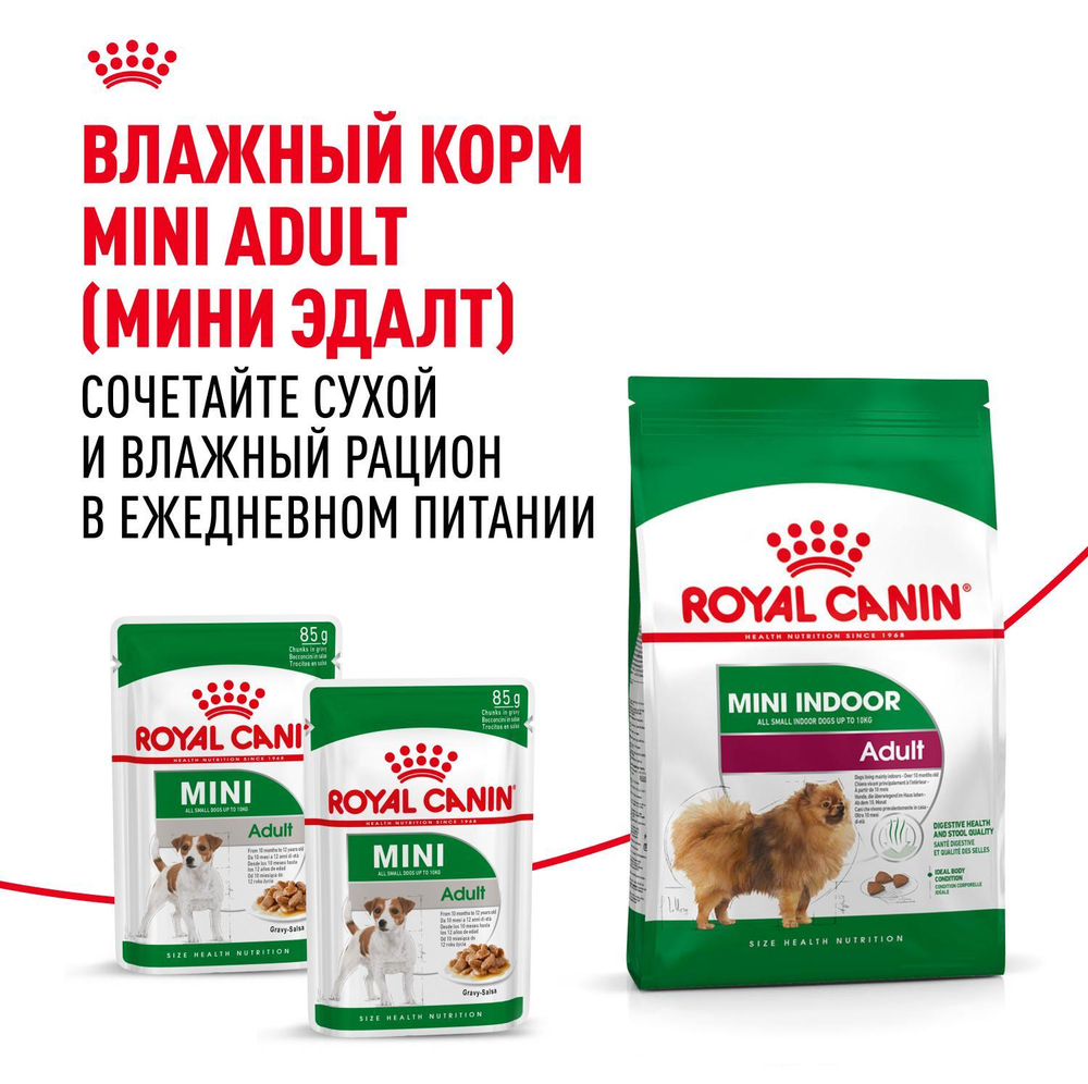 Royal Canin Mini Indoor Adult Мини Индор Эдалт Корм сухой для взрослых собак мелких пород в возрасте от 10 месяцев живущих в помещении 500г
