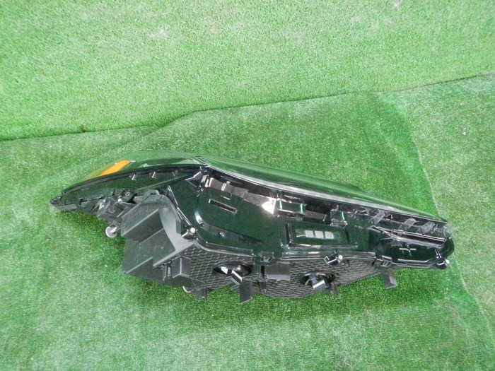 DSCN9311.JPG