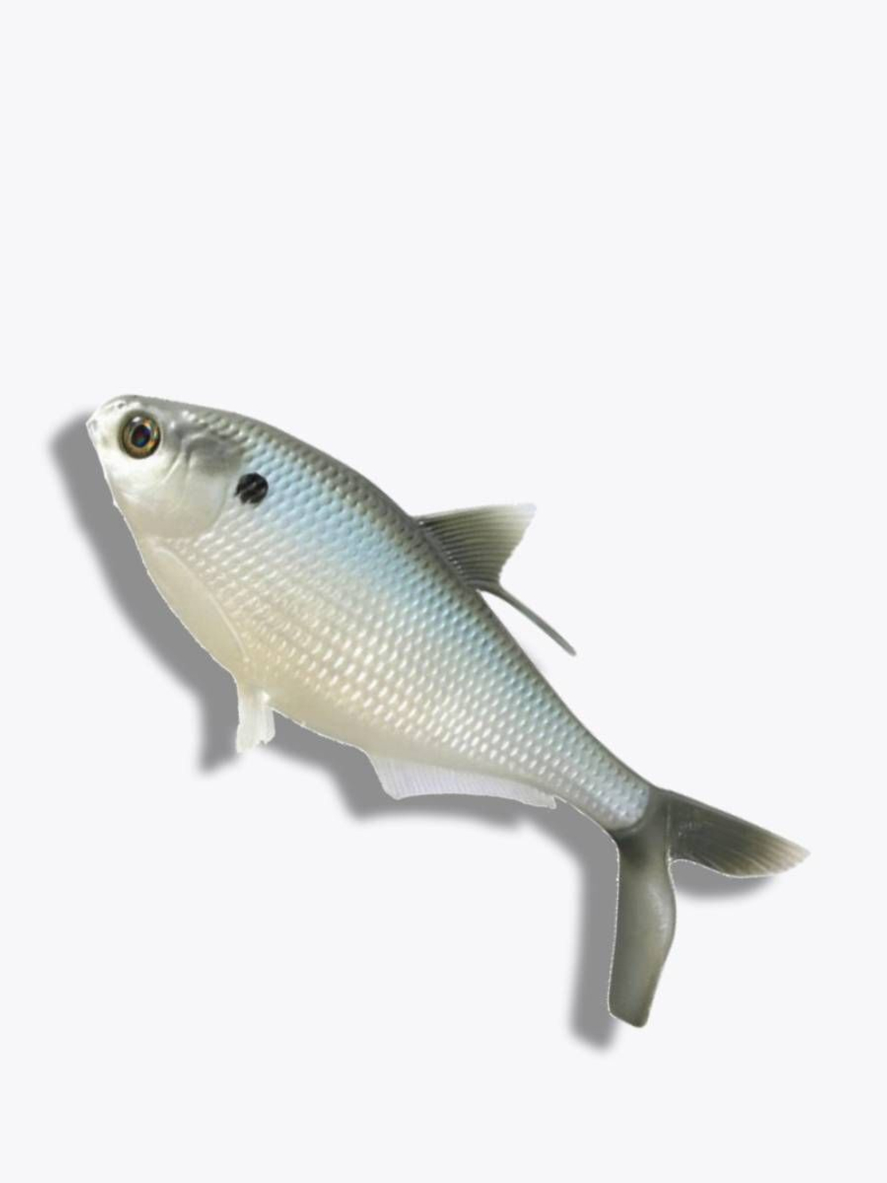 Мягкая приманка B.A.M.F. Shad 8"/ Gold Retriver (1шт./уп.)