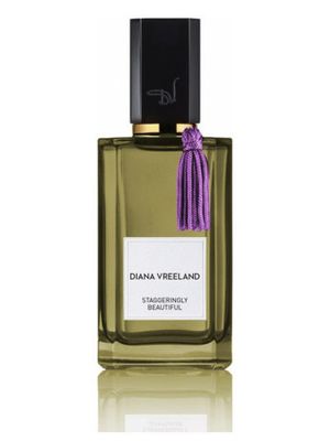 Diana Vreeland Staggeringly Beautiful